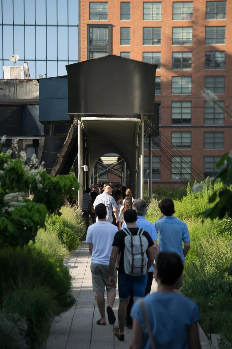 The sun shines on the eastern end of the High Line in New York City highlighting the vibrant and lush greenery and the temporary construction scaffolding with tall brick and glass skyscrapers in the background